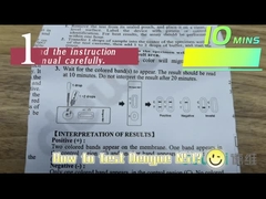 Plasma rápida del suero de Kit Cassette For Whole Blood de la prueba de la GUARIDA NS1 del antígeno de la dengue del CE